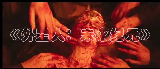 88影视